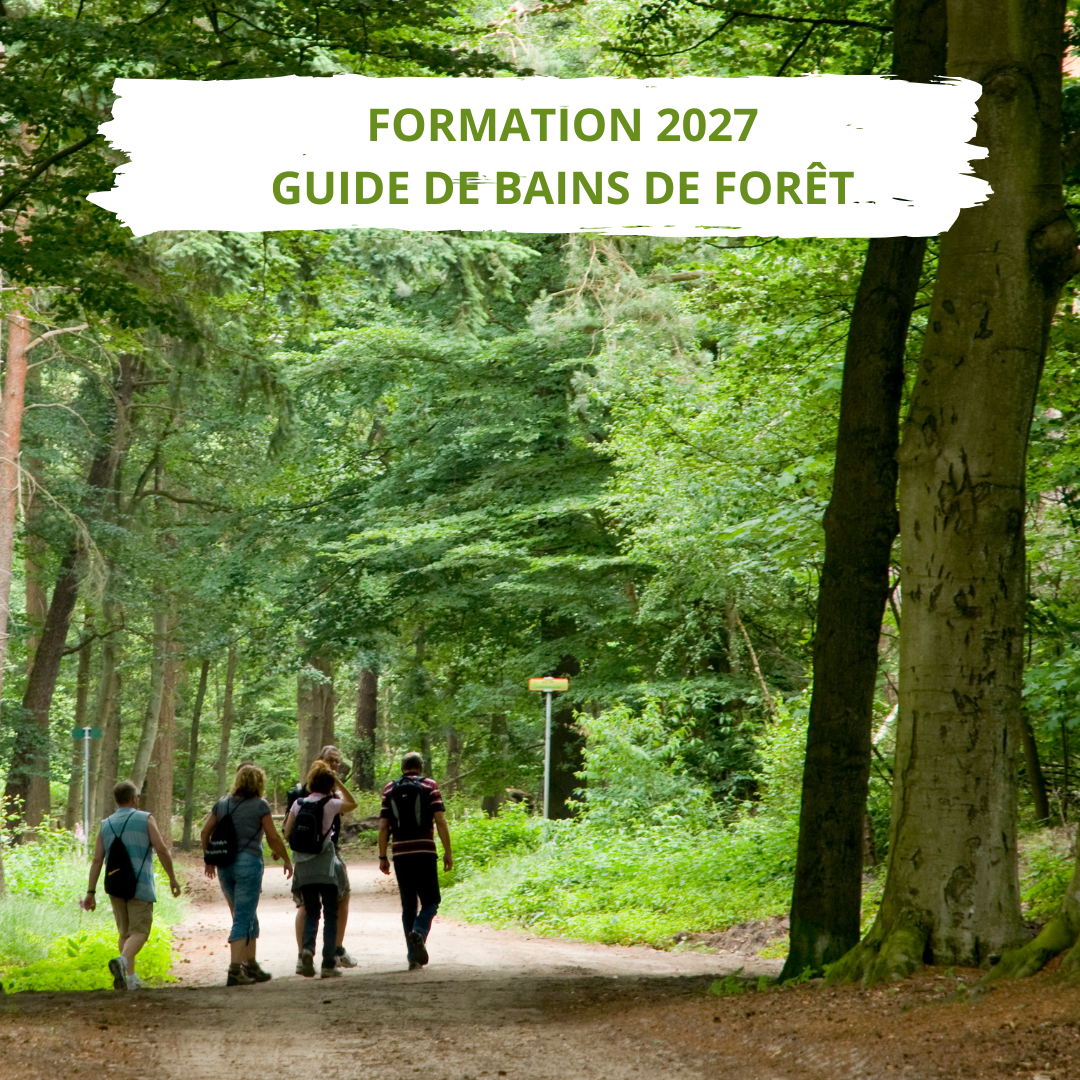 Formation 2027 de guide de bains de forêt.png